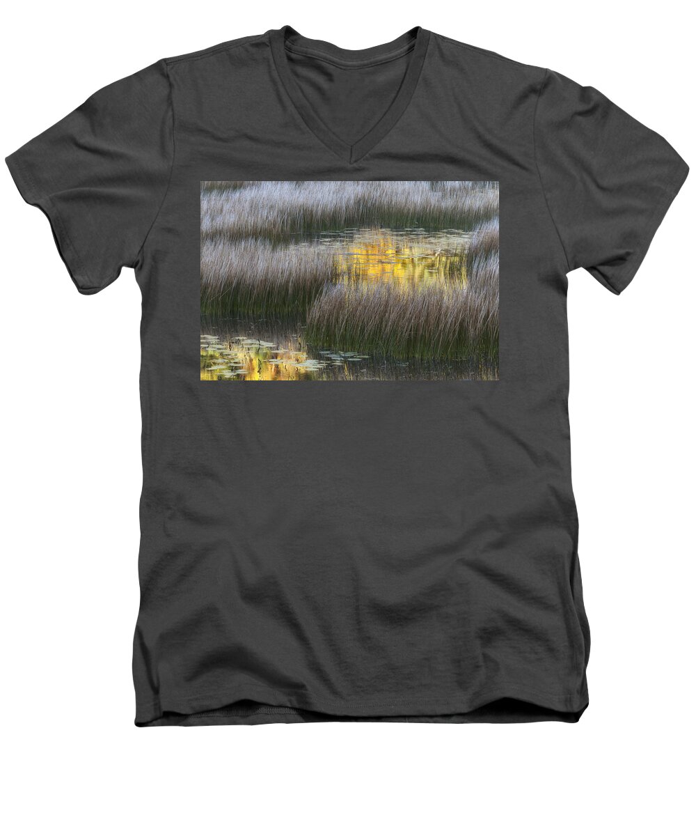 Mount Desert Island Men's V-Neck T-Shirt featuring the photograph Reflections of Early Light - number eight by Paul Schreiber