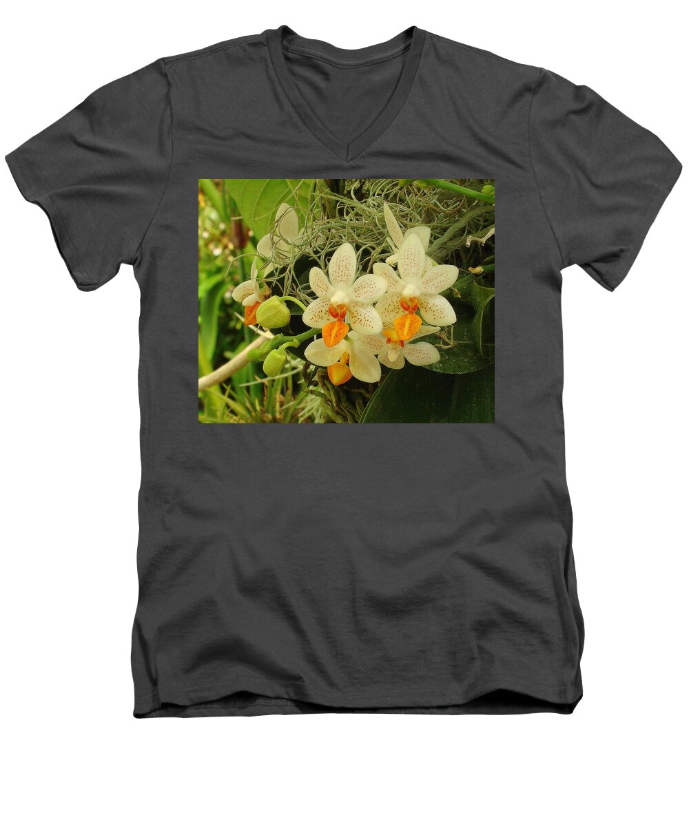 Fine Art Men's V-Neck T-Shirt featuring the photograph Renewal by Rodney Lee Williams