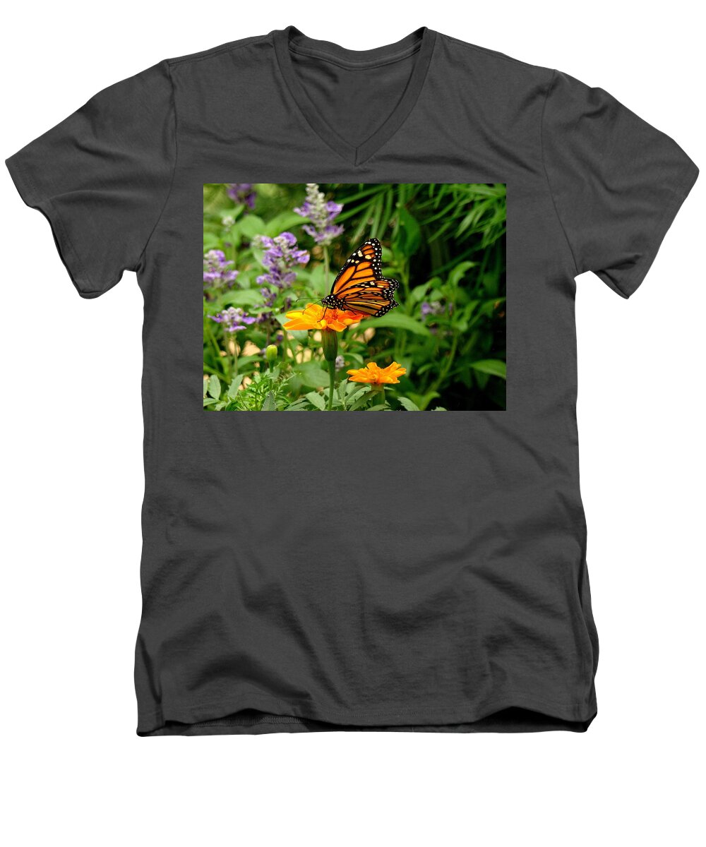 Fine Art Men's V-Neck T-Shirt featuring the photograph Renewed by Rodney Lee Williams