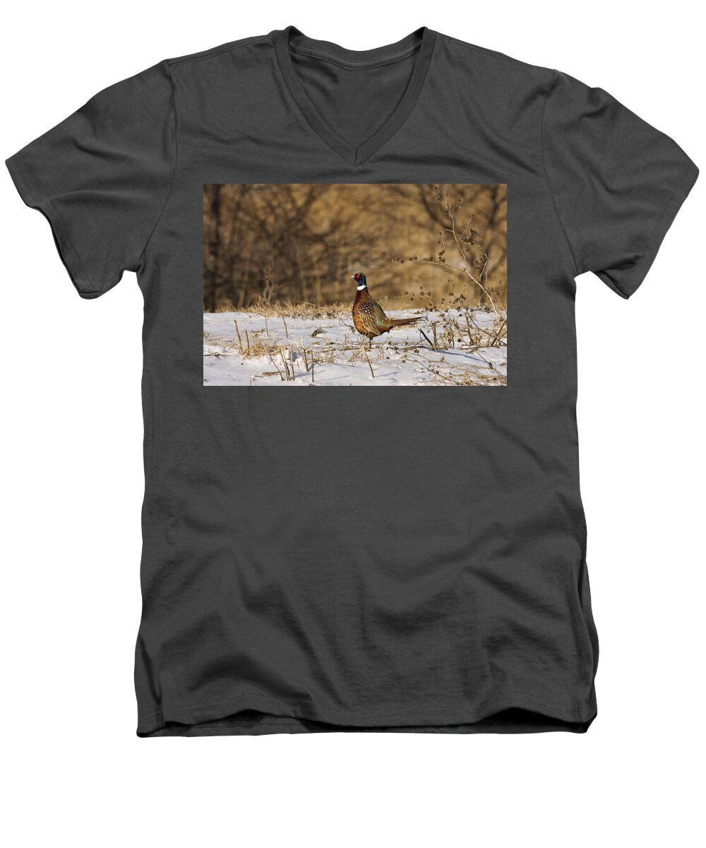 Pheasant Men's V-Neck T-Shirt featuring the photograph Ringer by Jack Milchanowski