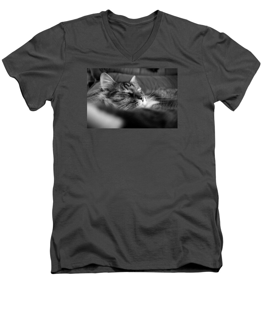 House Cat Men's V-Neck T-Shirt featuring the photograph Ringo by Joseph C Hinson