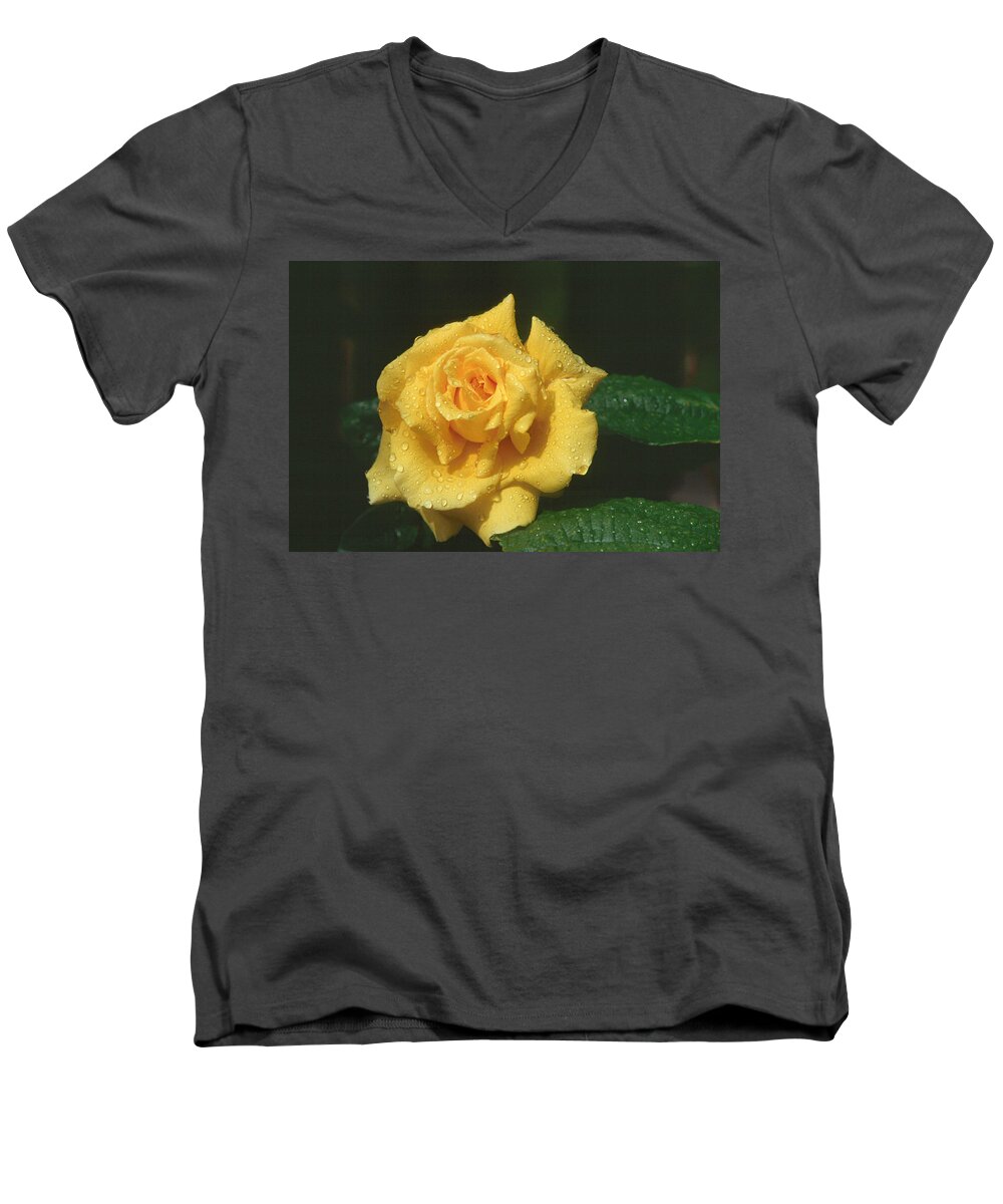 Flower Men's V-Neck T-Shirt featuring the photograph Rose 1 by Andy Shomock
