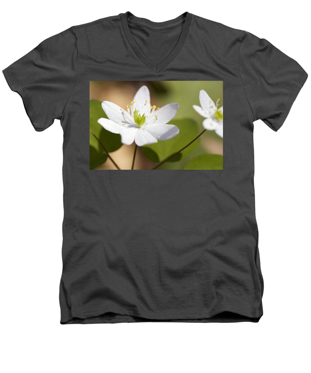 Rue Anemone Men's V-Neck T-Shirt featuring the photograph Rue Anemone by Melinda Fawver