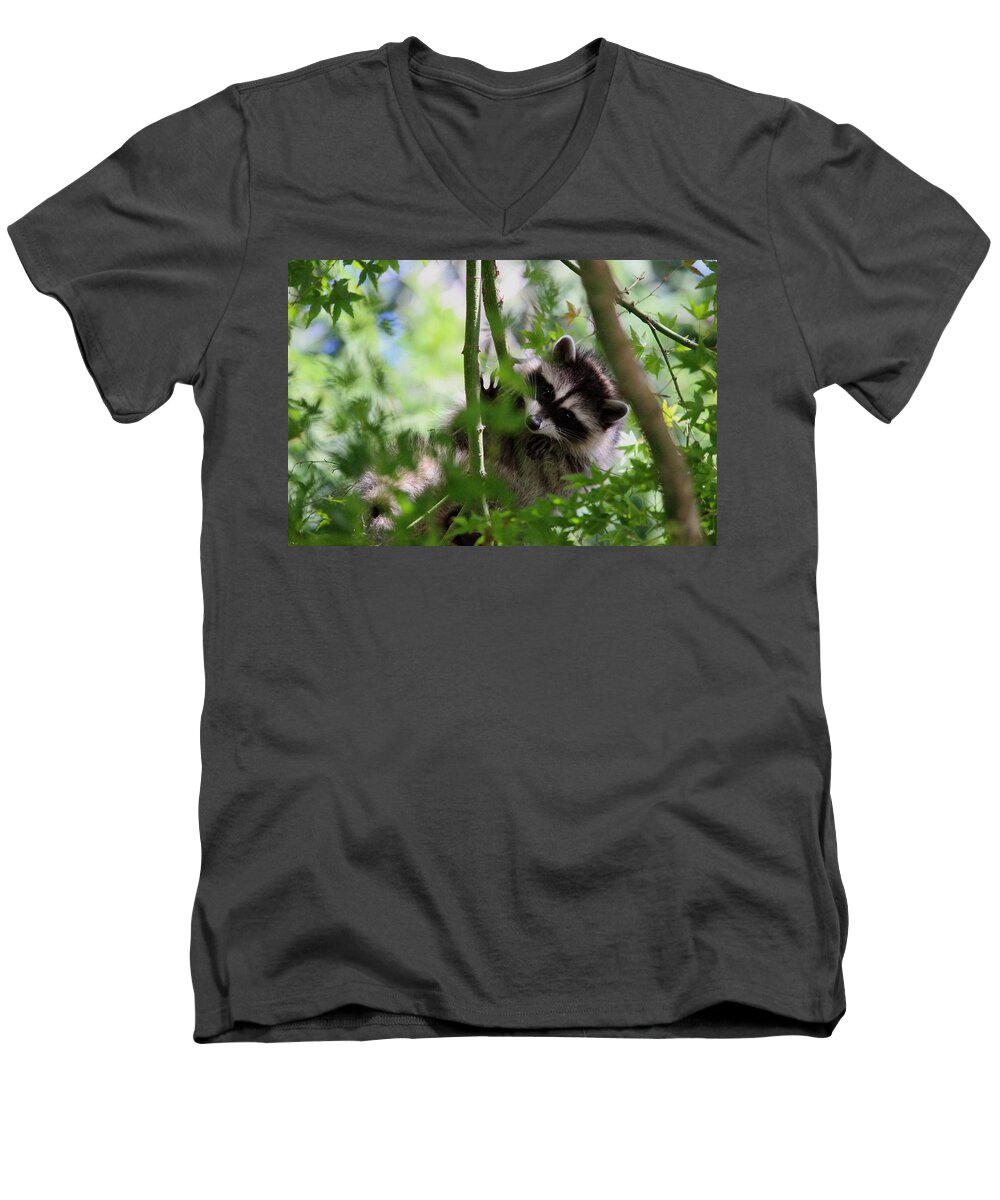 Mammals Men's V-Neck T-Shirt featuring the photograph Rut Row I'm Falling by Kym Backland