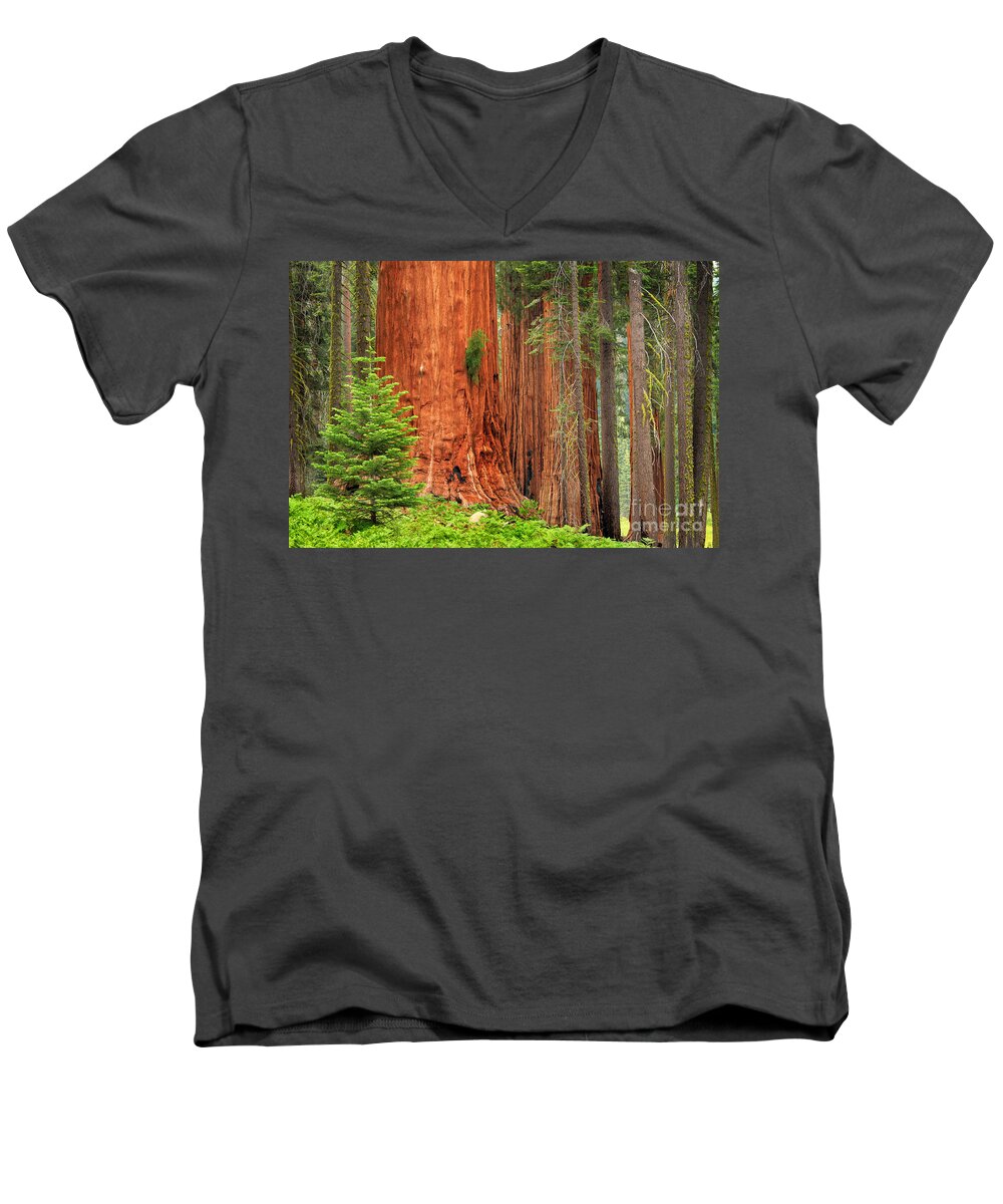 America Men's V-Neck T-Shirt featuring the photograph Sequoias by Inge Johnsson