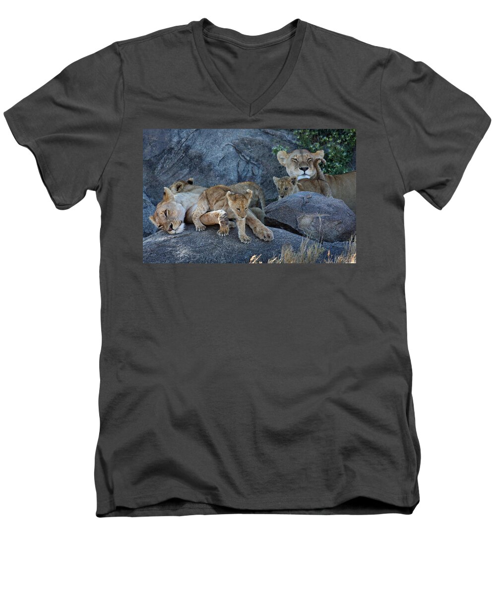 Lion Pride Men's V-Neck T-Shirt featuring the photograph Serengeti Pride by David Beebe