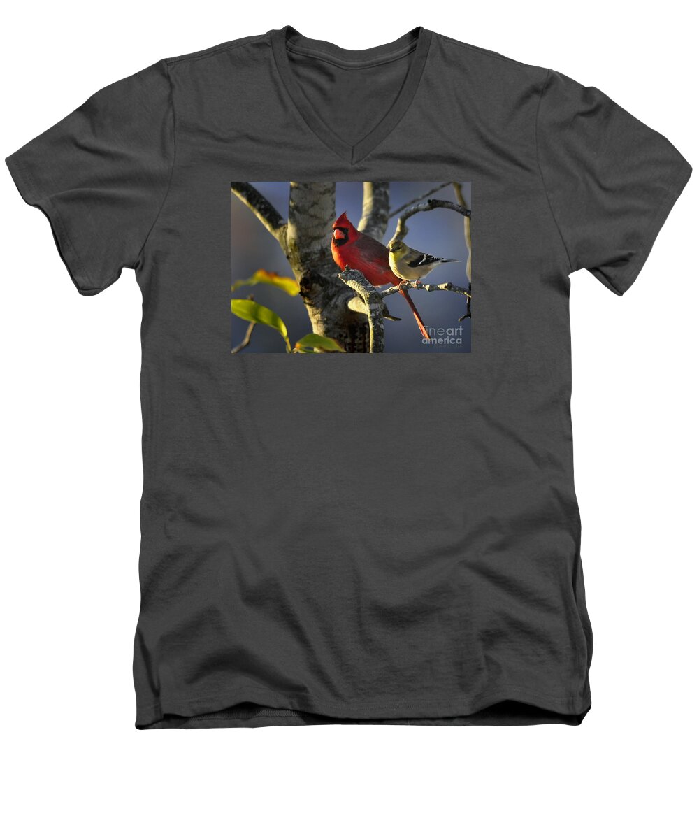 Nature Men's V-Neck T-Shirt featuring the photograph Sharing the Light by Nava Thompson