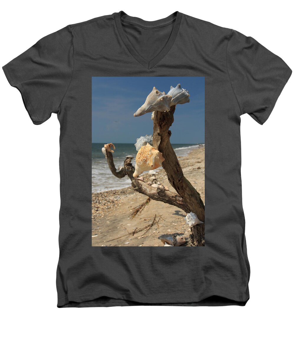 South Carolina Men's V-Neck T-Shirt featuring the photograph Shell Art by Patricia Schaefer