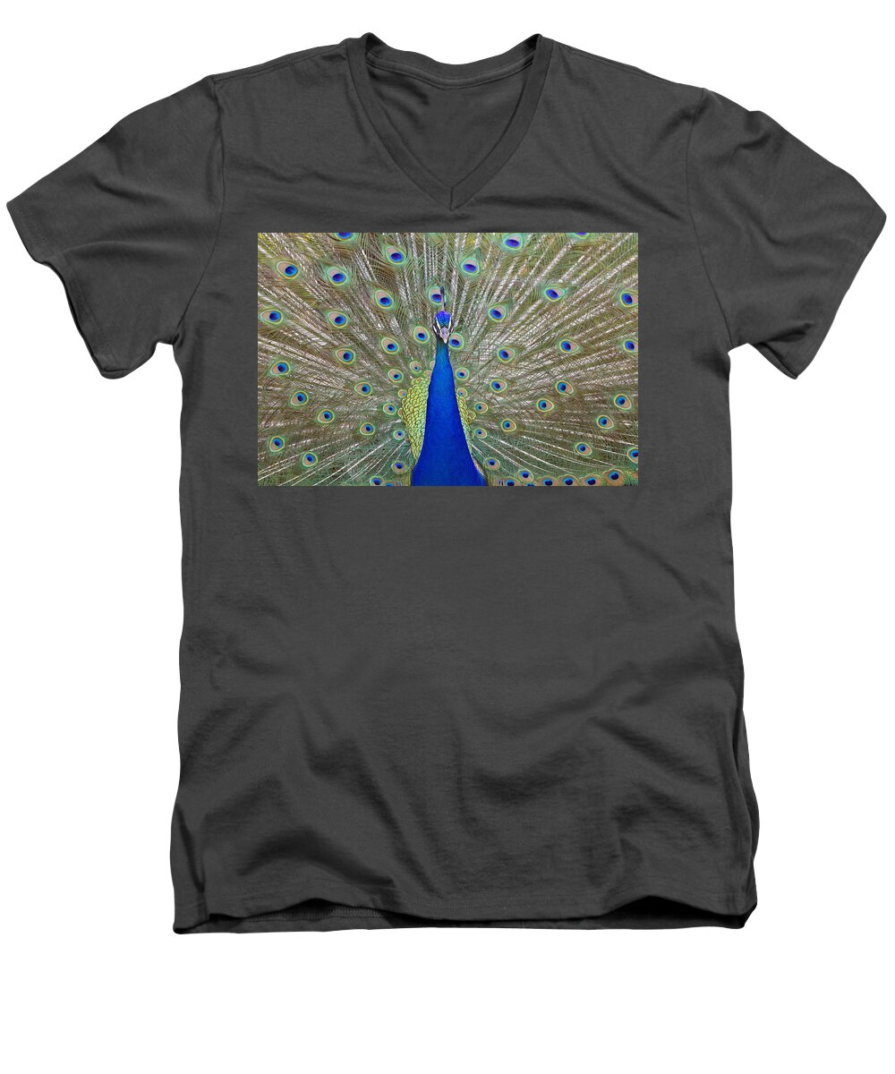 Peacock Men's V-Neck T-Shirt featuring the photograph Showing Off by Shoal Hollingsworth