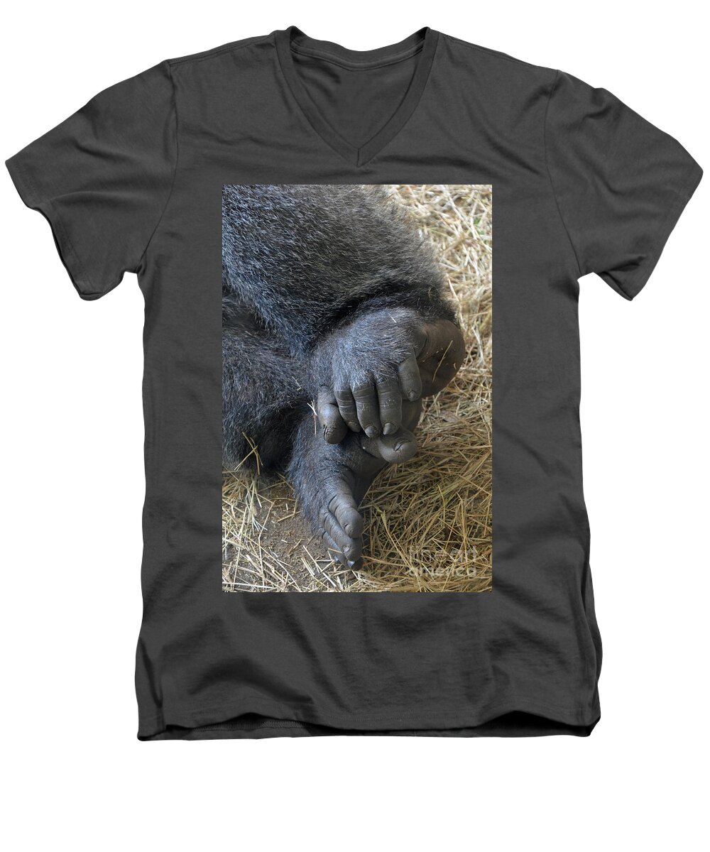 Silverback Toes Men's V-Neck T-Shirt featuring the photograph Silverback Toes by Robert Meanor
