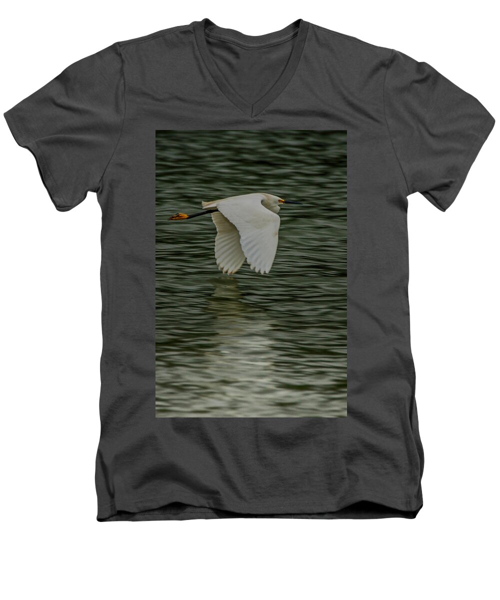 Egretta Thula Men's V-Neck T-Shirt featuring the photograph Snowy Egret on estuary by Jeff Folger