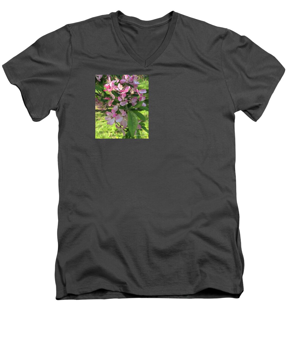 Apple Blossoms Men's V-Neck T-Shirt featuring the photograph Spring Blossoms - Flower Photography by Miriam Danar