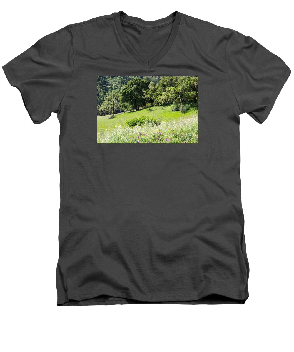 Spring Men's V-Neck T-Shirt featuring the photograph Spring Hike by Suzanne Luft