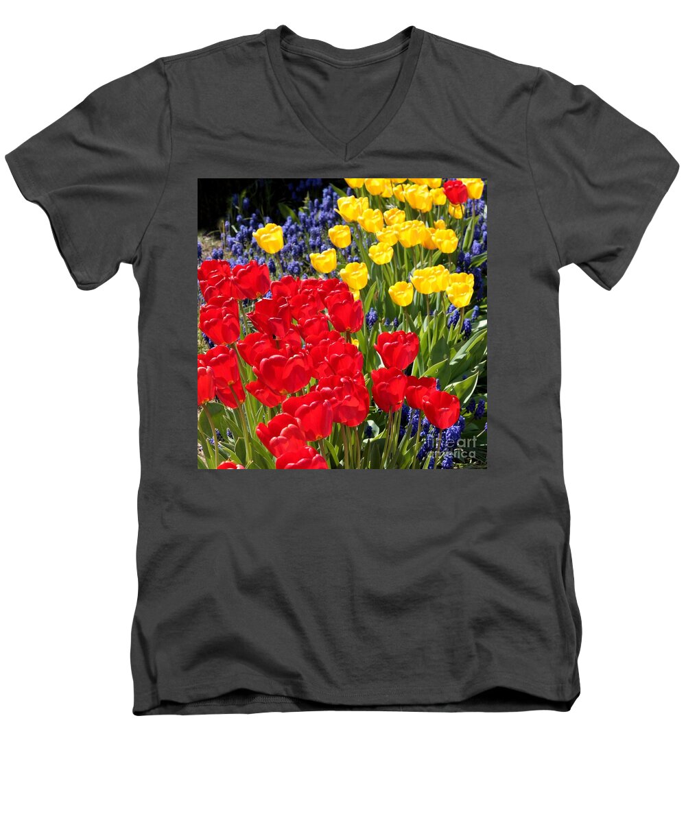 Spring Men's V-Neck T-Shirt featuring the photograph Spring Sunshine by Carol Groenen