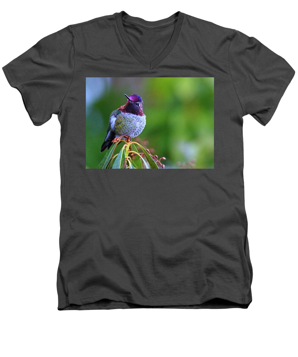 Hummingbird Men's V-Neck T-Shirt featuring the photograph Standing Guard by Randy Hall