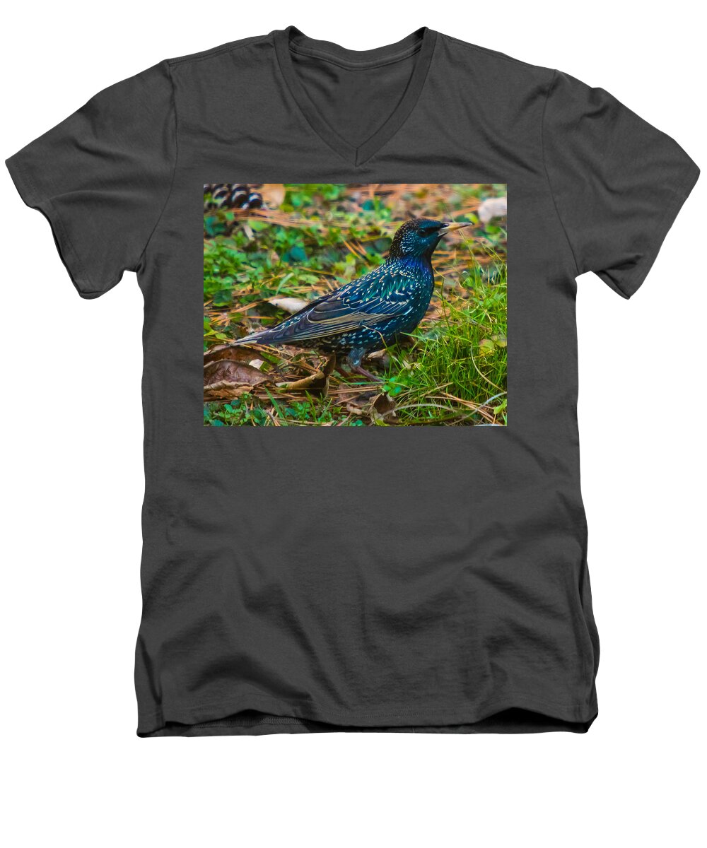 European Starling Men's V-Neck T-Shirt featuring the photograph Stars come out in the daytime too by Robert L Jackson