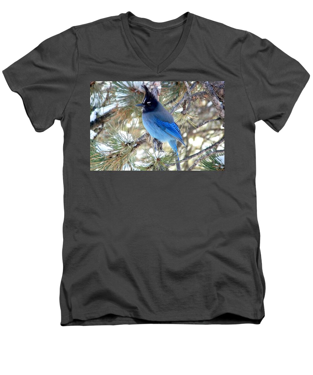 Colorado Men's V-Neck T-Shirt featuring the photograph Steller's Jay Profile by Marilyn Burton