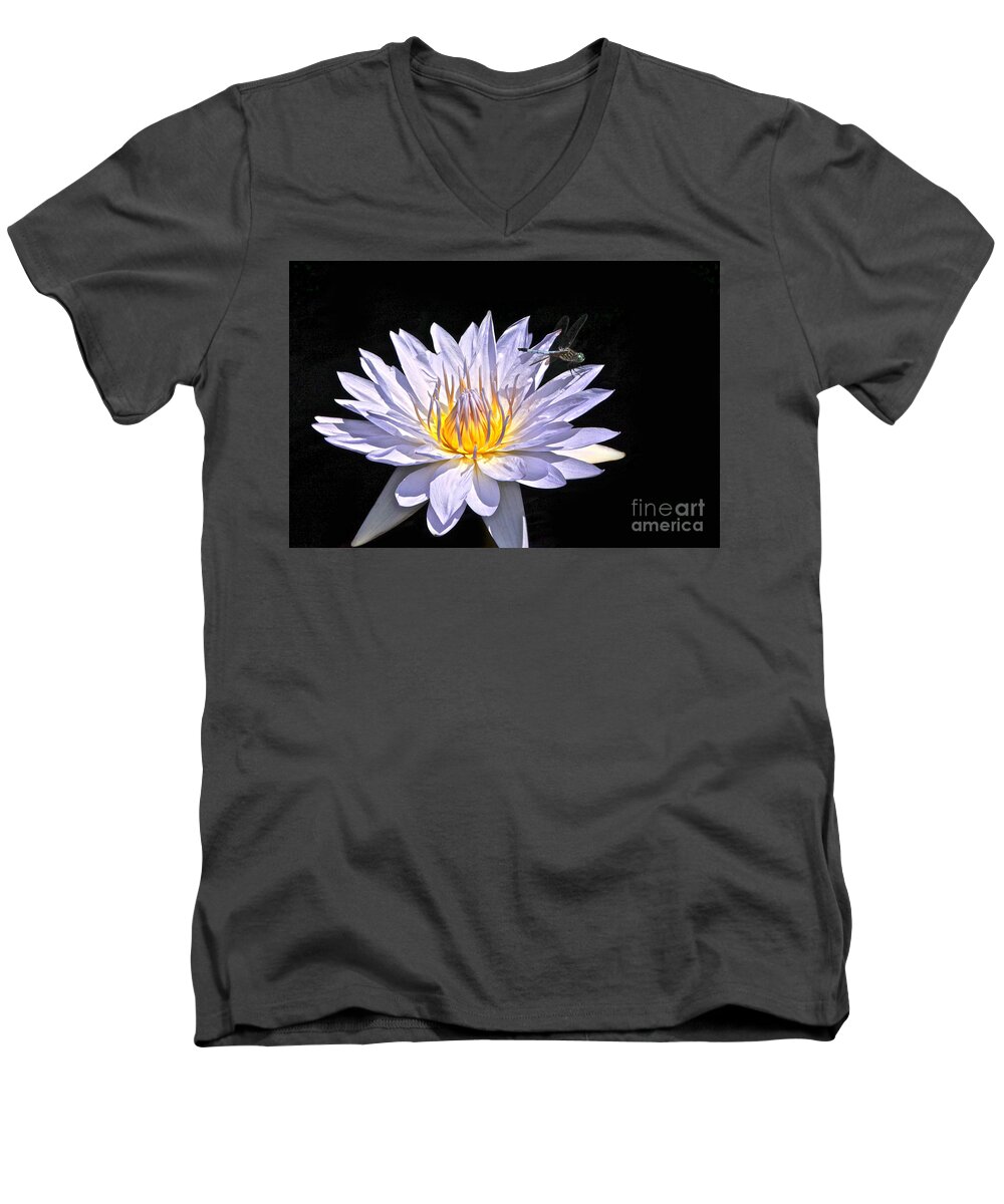 Lavender Tropical Waterlily And Blue Dasher Dragonfly Isolated Men's V-Neck T-Shirt featuring the photograph Summer Magic -- Dragonfly On Waterlily On Black by Byron Varvarigos