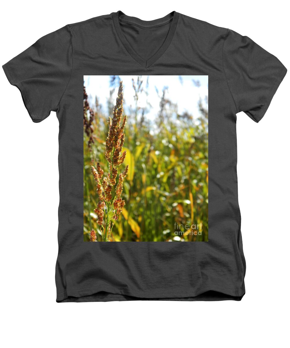 Healthy Men's V-Neck T-Shirt featuring the photograph Sun of life by Andrea Anderegg