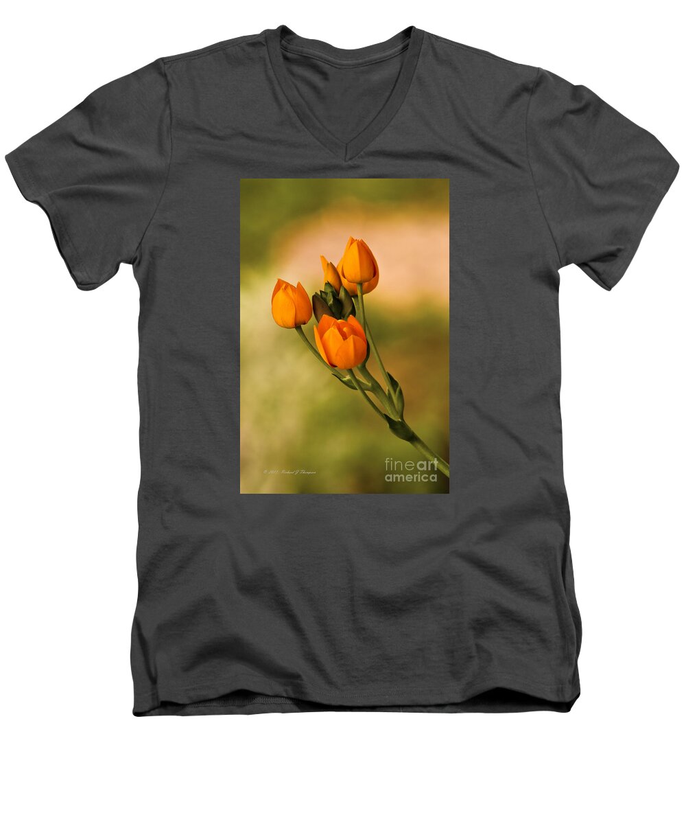 Vertical Men's V-Neck T-Shirt featuring the photograph Sun Star Flower by Richard J Thompson 