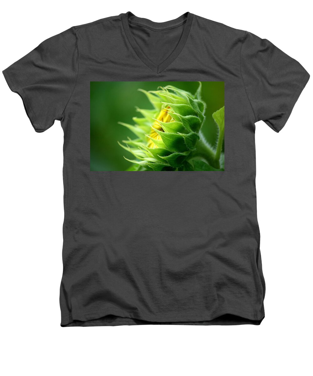 Yellow Sunflower Men's V-Neck T-Shirt featuring the photograph Awakening Sunflower by Neal Eslinger