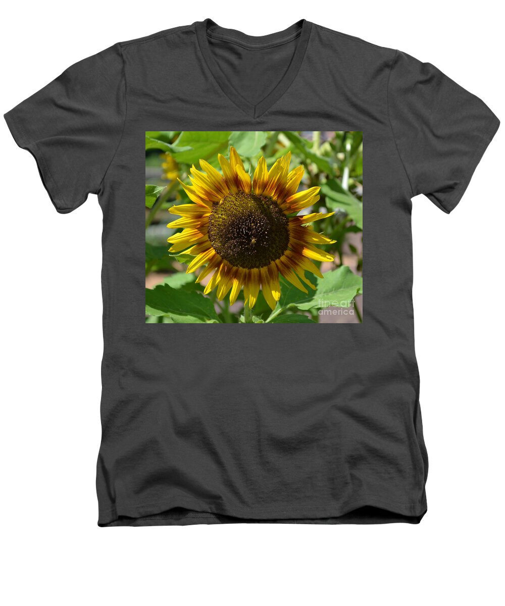 Sunflower Glory Men's V-Neck T-Shirt featuring the photograph Sunflower Glory by Luther Fine Art