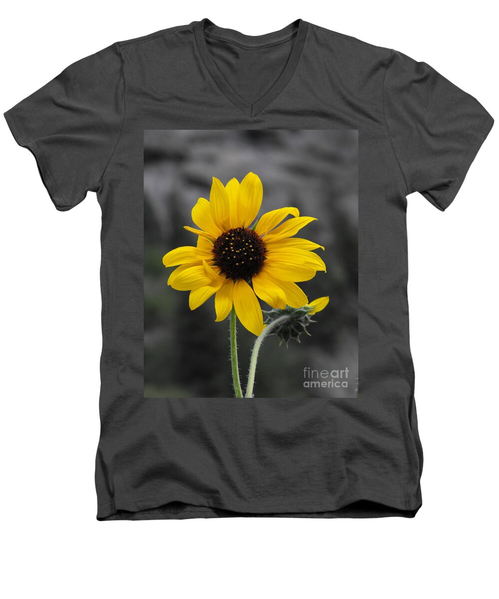 Sunflower Men's V-Neck T-Shirt featuring the photograph Sunflower on gray by Rebecca Margraf