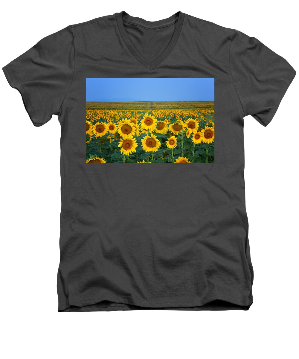 Sunflower Men's V-Neck T-Shirt featuring the photograph Sunflowers as far as you can see by Ronda Kimbrow