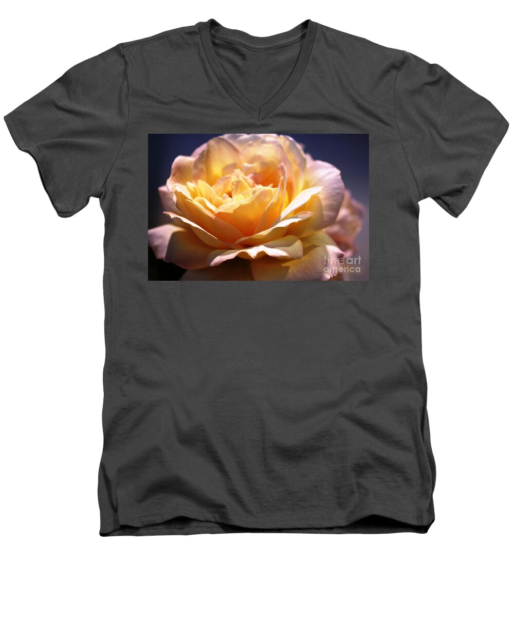 Rose Men's V-Neck T-Shirt featuring the photograph Sunkissed Rose by Judy Palkimas