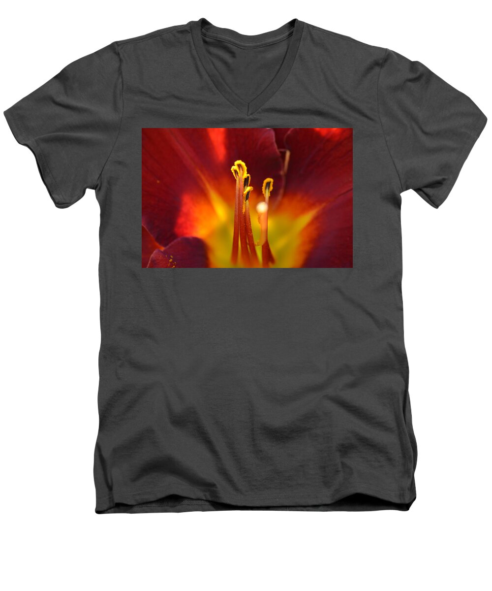 Lily Men's V-Neck T-Shirt featuring the photograph Sunlit Lily by David Porteus
