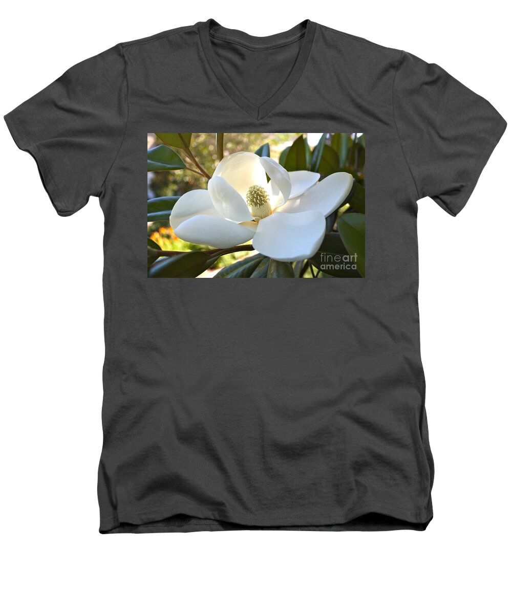 Floral Men's V-Neck T-Shirt featuring the photograph Sunlit Southern Magnolia by Carol Groenen