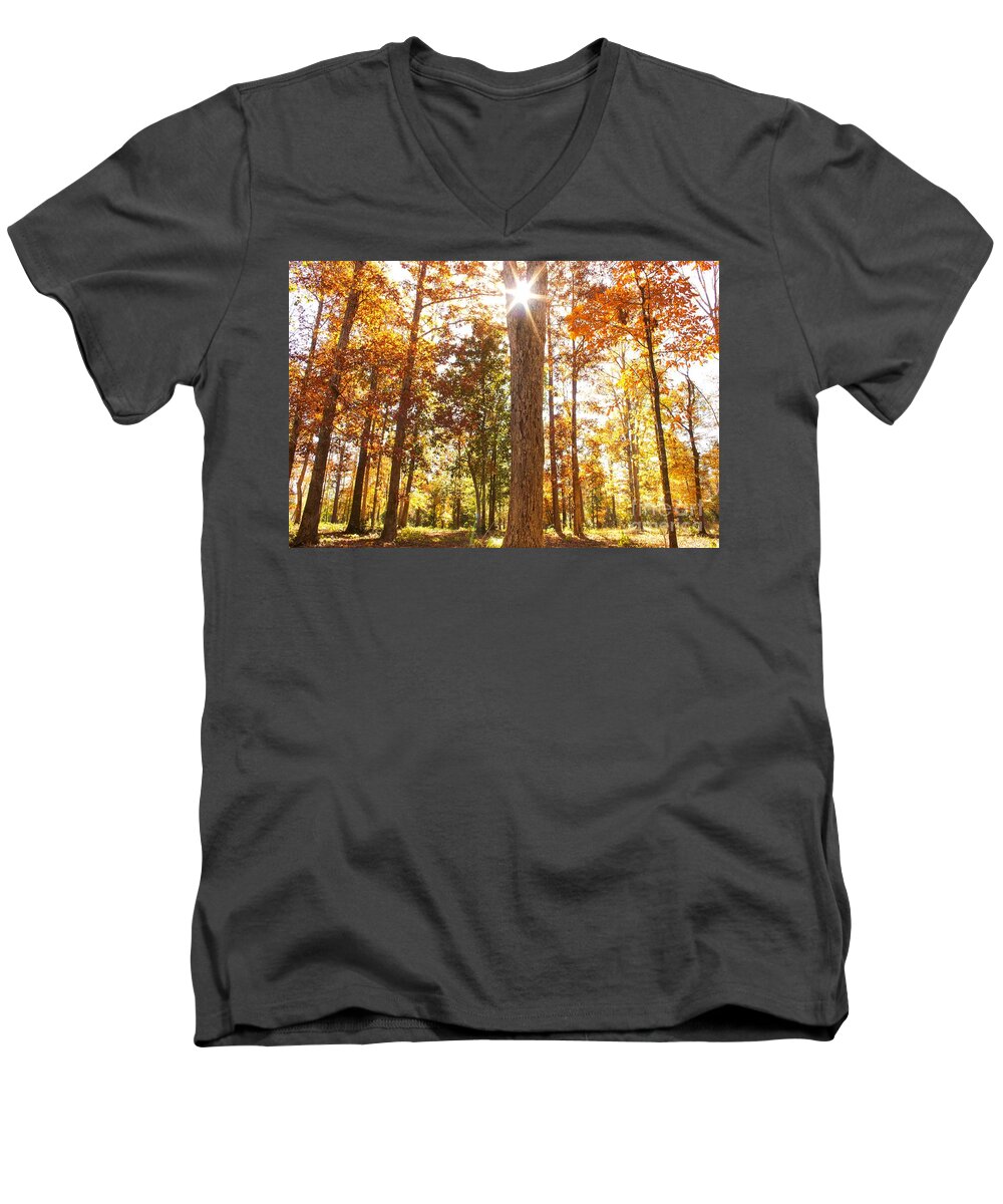 Michael Tidwell Photography Men's V-Neck T-Shirt featuring the photograph Sunny Hardwoods by Michael Tidwell