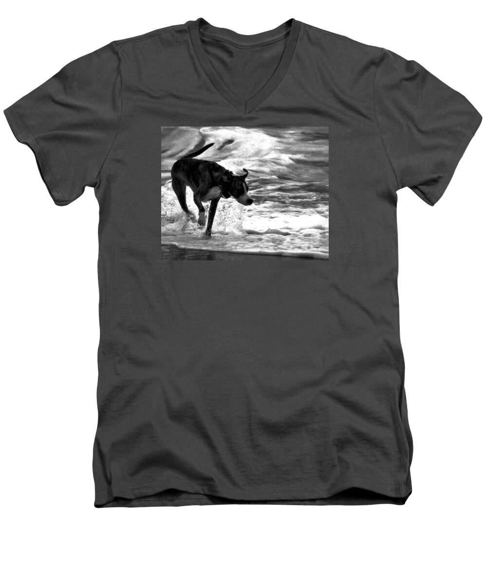 Black And White Men's V-Neck T-Shirt featuring the photograph Surfer Bird by Robert McCubbin
