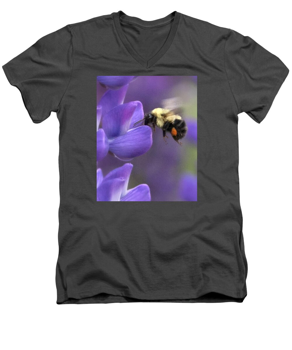 Bee Men's V-Neck T-Shirt featuring the photograph Sweet Nectar - number two by Paul Schreiber
