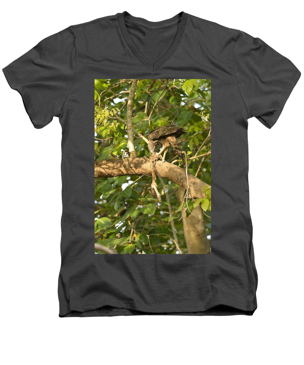 Changeable Men's V-Neck T-Shirt featuring the photograph The Kill by Fotosas Photography