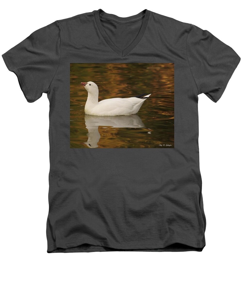 Snow Geese Men's V-Neck T-Shirt featuring the photograph The Lovely Snow by Amy Gallagher