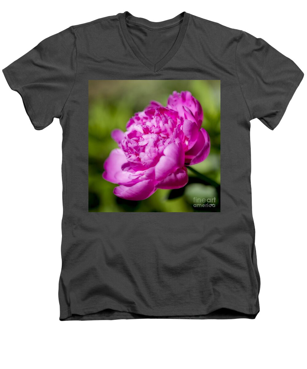 Peony Men's V-Neck T-Shirt featuring the photograph The Pink Lady by Alana Ranney