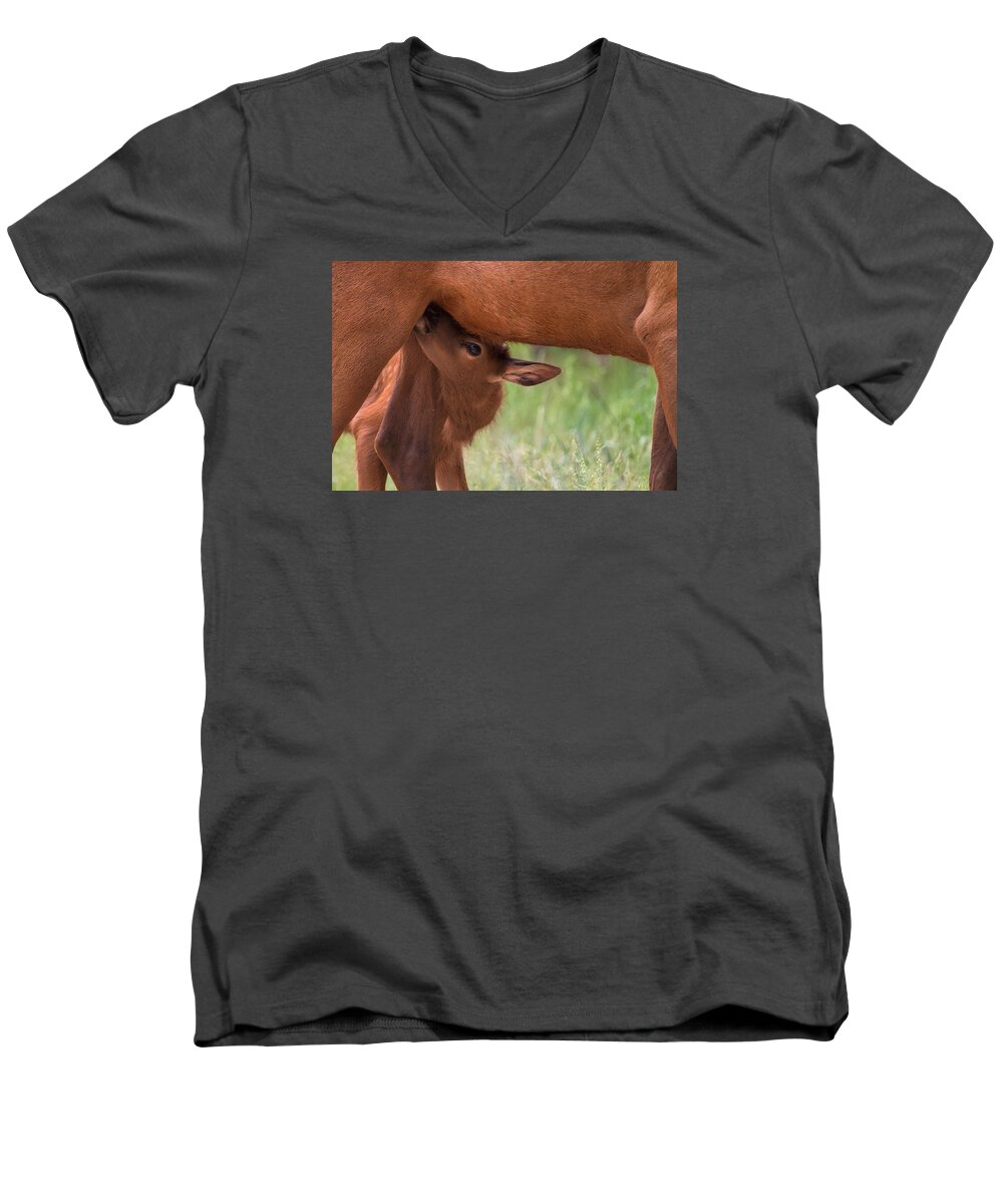 Elk Men's V-Neck T-Shirt featuring the photograph The Right Stuff by Jim Garrison