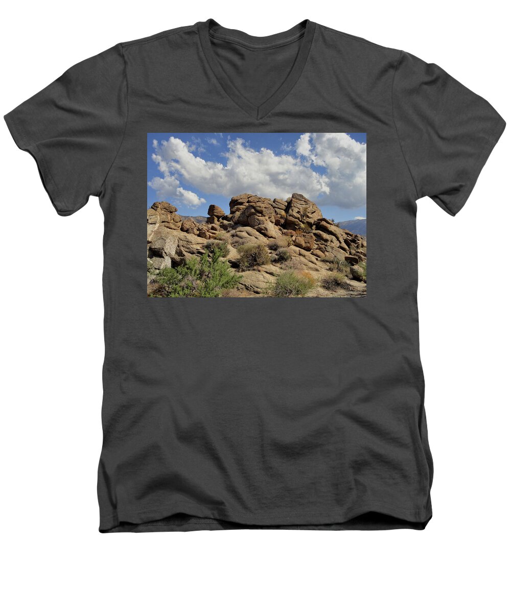  Palms To Pines Highway Men's V-Neck T-Shirt featuring the photograph The Rock Garden by Michael Pickett