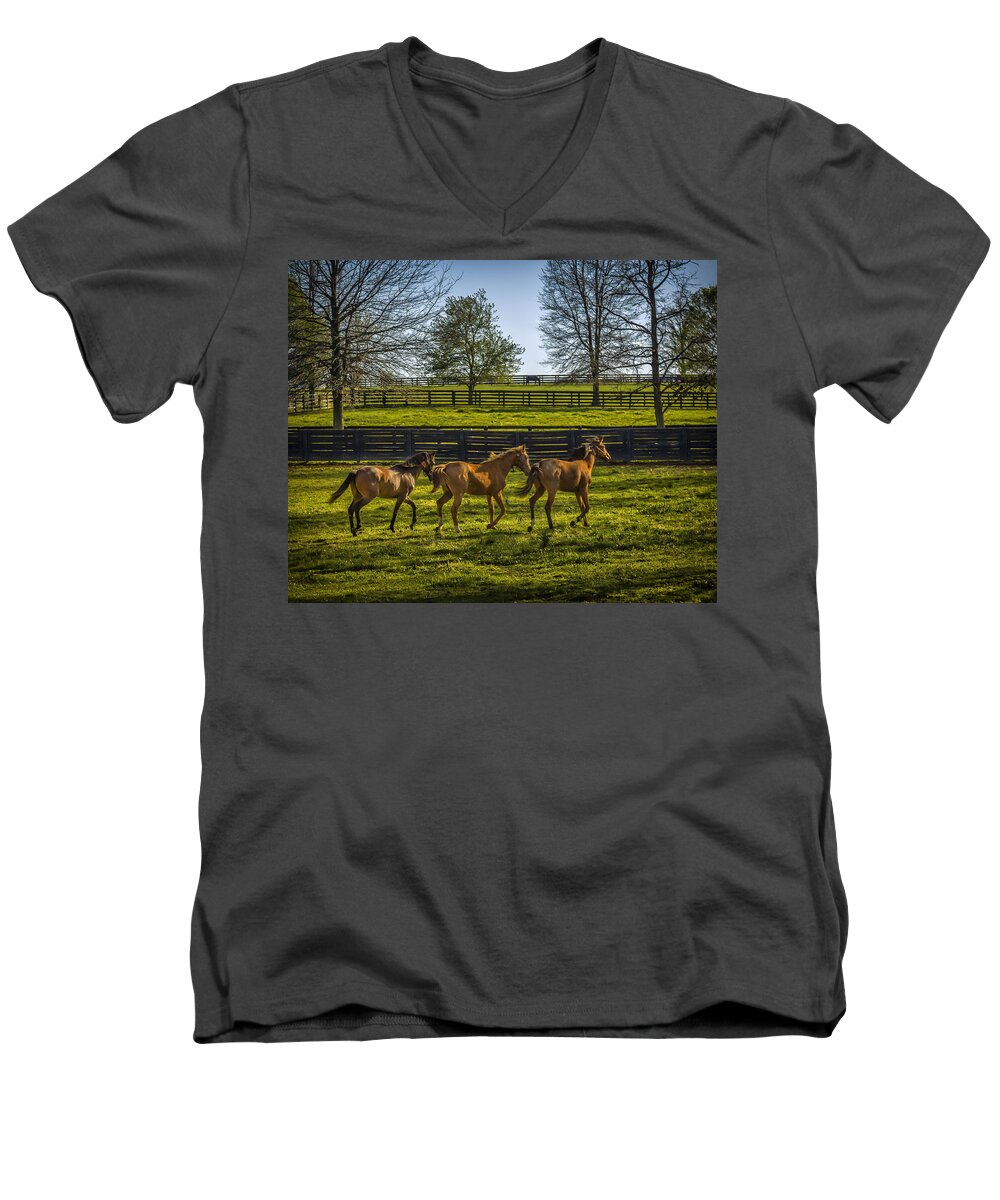 Animal Men's V-Neck T-Shirt featuring the photograph Three Amigos by Jack R Perry