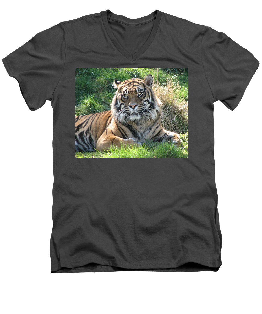 Tiger Men's V-Neck T-Shirt featuring the photograph Tiger 2 by Helaine Cummins