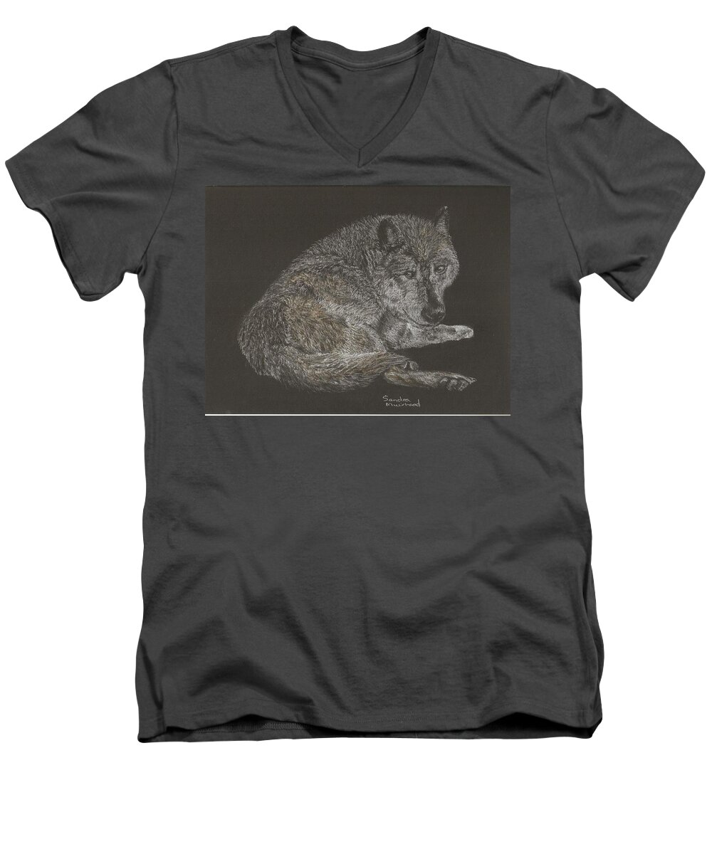Sandra Muirhead Artist Timber Wolf Animals People Portraits Pencil Pastel Conte Animals Wild Men's V-Neck T-Shirt featuring the pastel Timber wolf by Sandra Muirhead