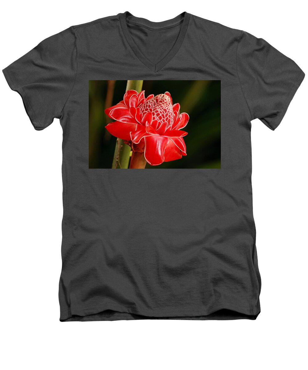 Nature Men's V-Neck T-Shirt featuring the photograph Torch Ginger by Lorenzo Cassina