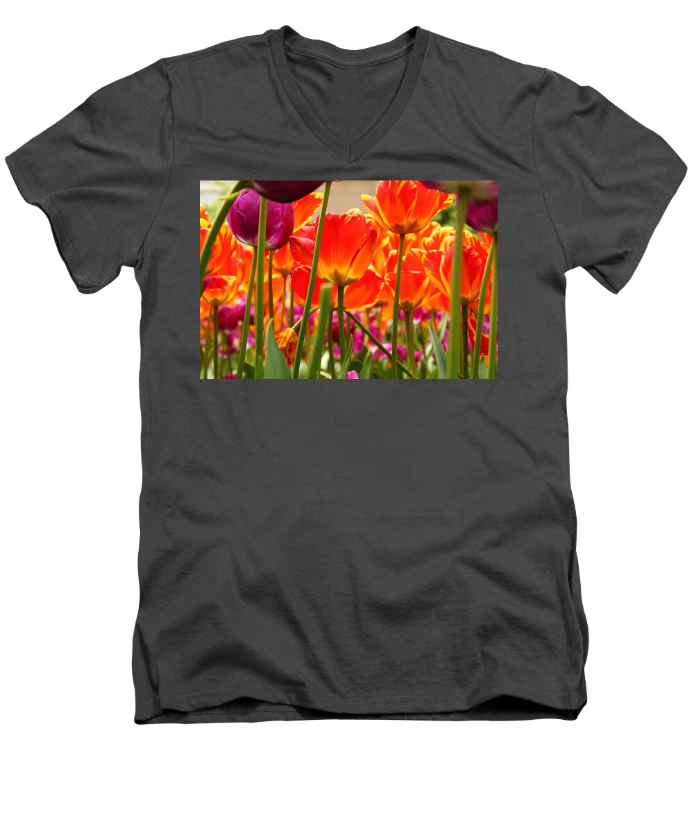Madison Square Park Men's V-Neck T-Shirt featuring the photograph Tulips From Below by Catie Canetti