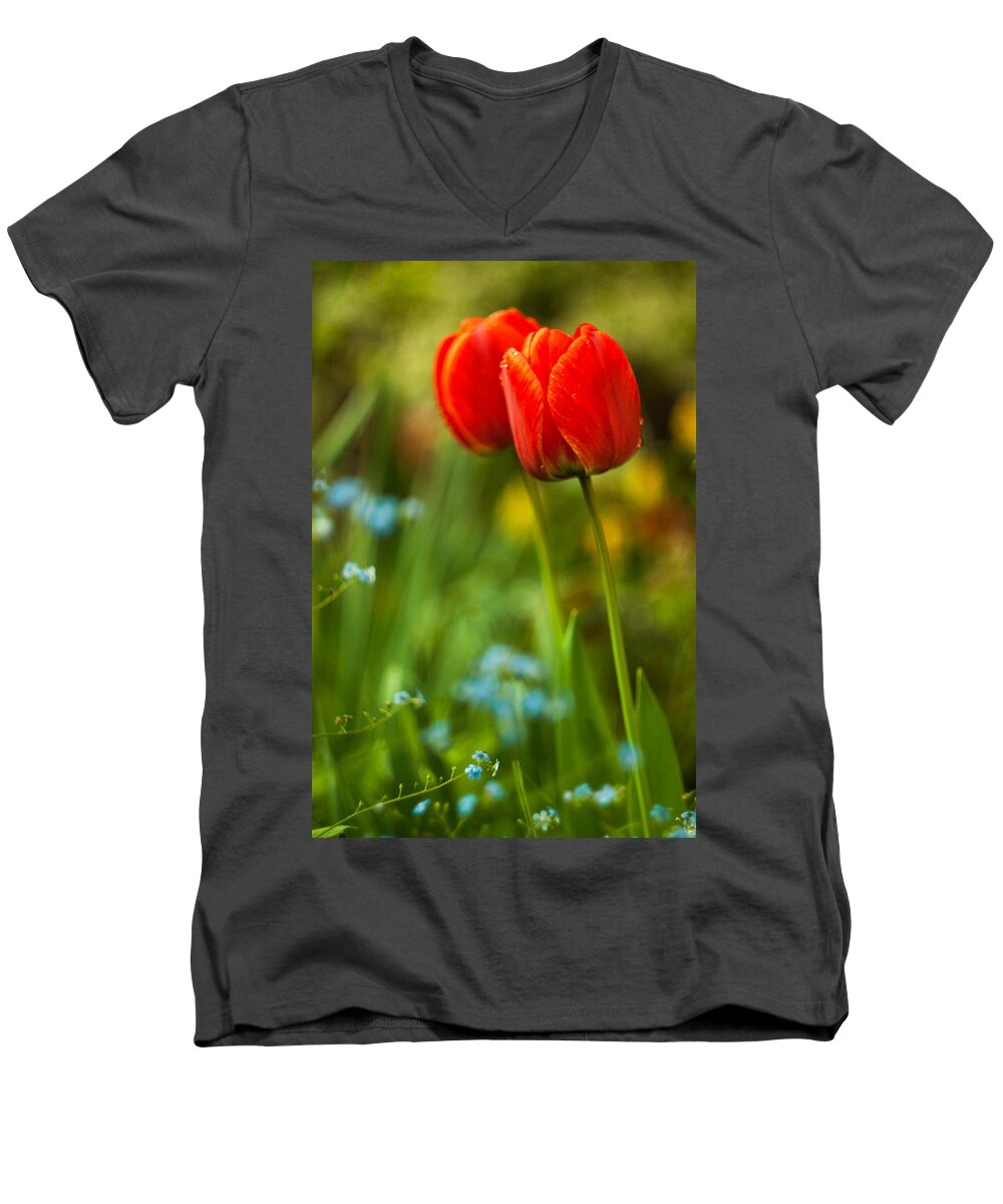 Flowers Men's V-Neck T-Shirt featuring the photograph Tulips in garden by Davorin Mance