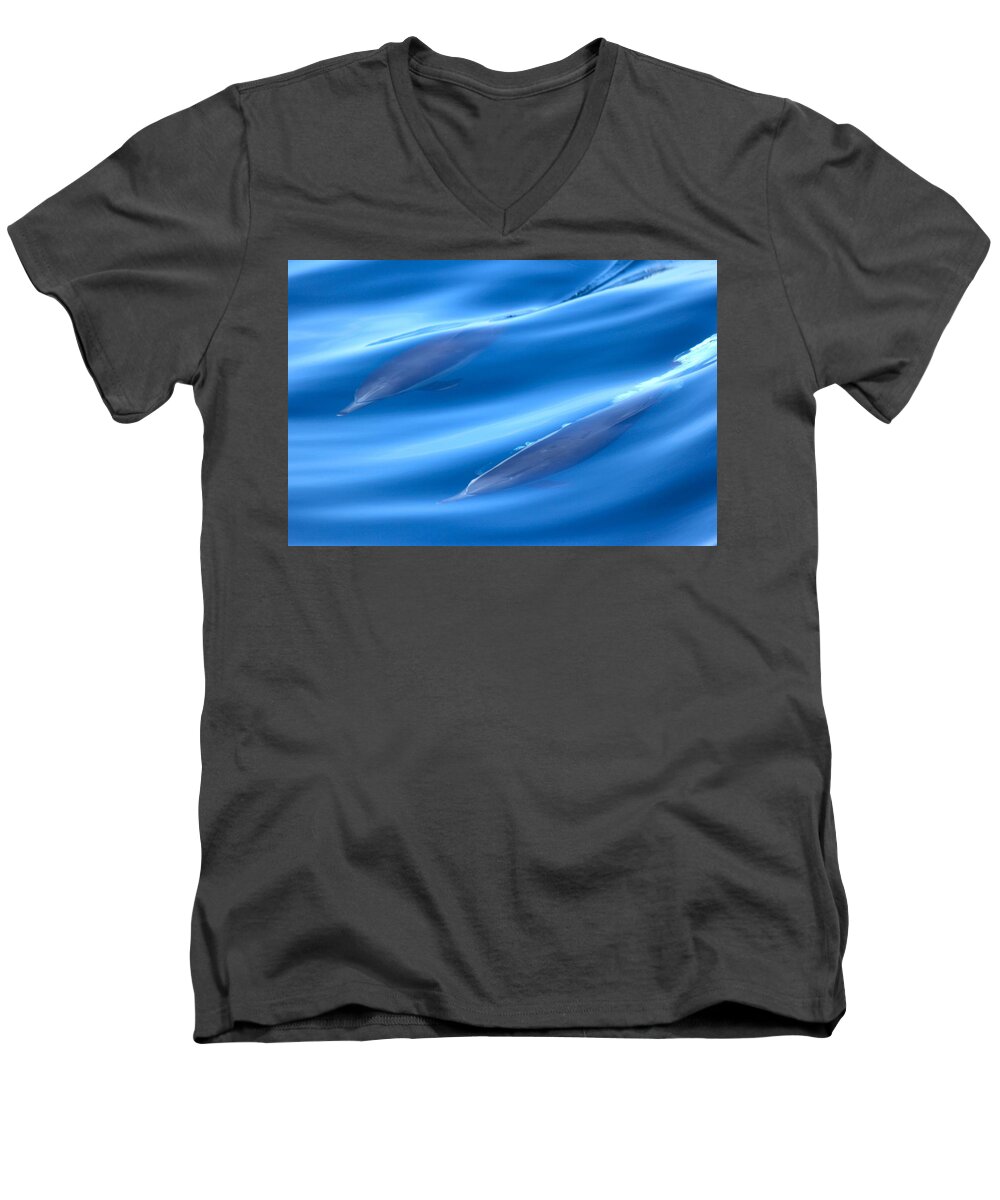 Dolphin Men's V-Neck T-Shirt featuring the photograph Underwater Dolphins by Liz Vernand