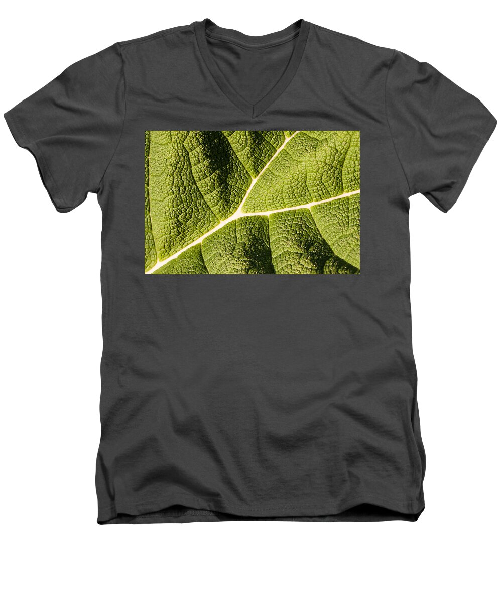 Botanical Men's V-Neck T-Shirt featuring the photograph Veins of a Leaf by John Wadleigh