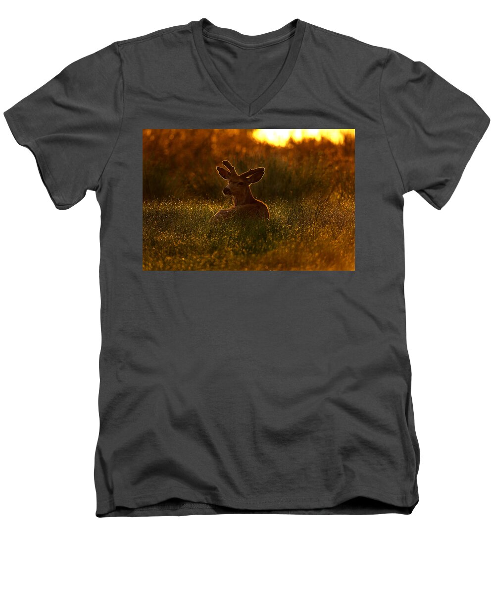 Wildlife Men's V-Neck T-Shirt featuring the photograph Velvet buck by Jeff Shumaker