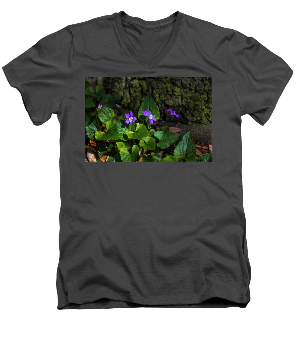 Violets Men's V-Neck T-Shirt featuring the photograph Violets by Dorothy Cunningham