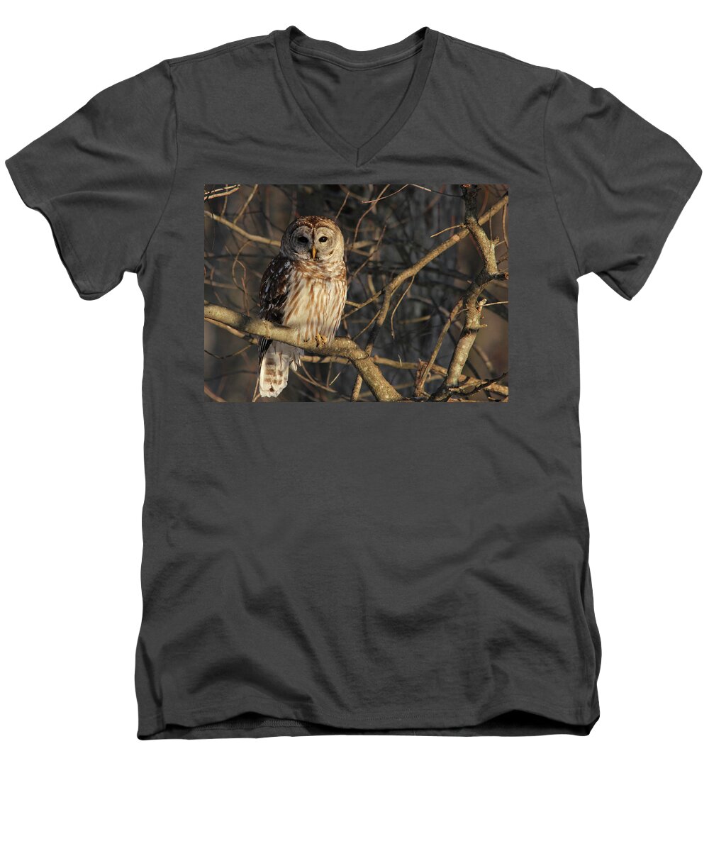 Owl Men's V-Neck T-Shirt featuring the photograph Waiting for Supper by Lori Deiter